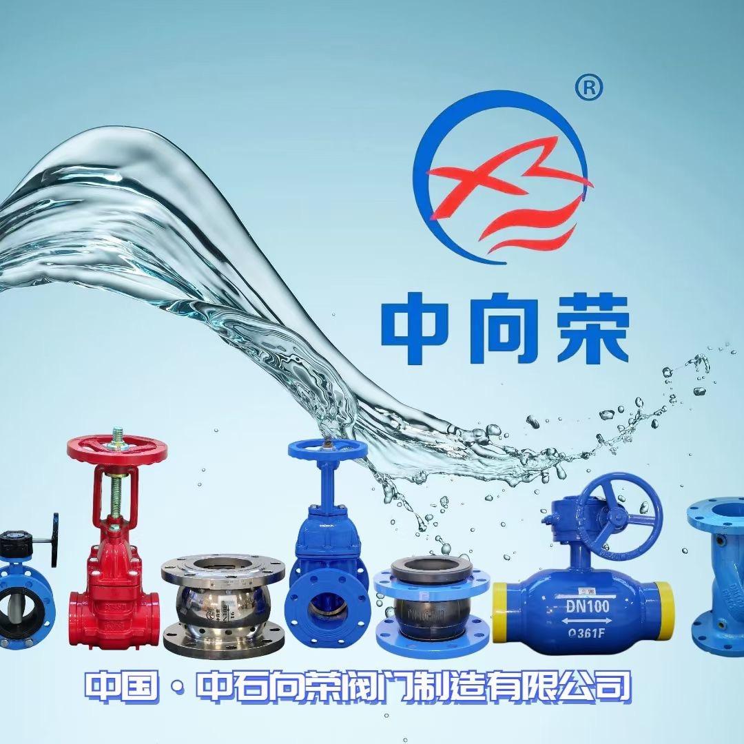 中石向荣阀门🇨🇳