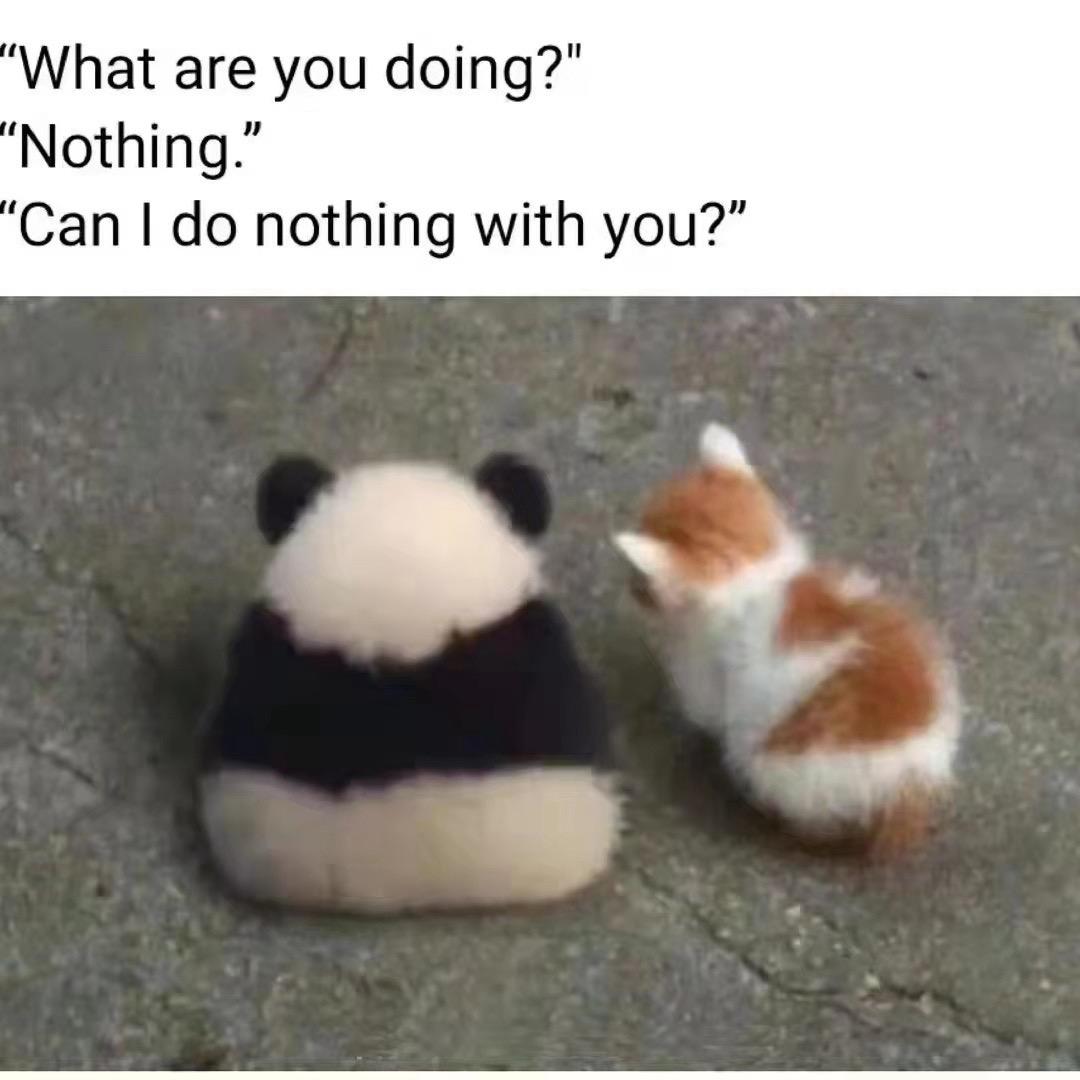 缅 A 股天乐