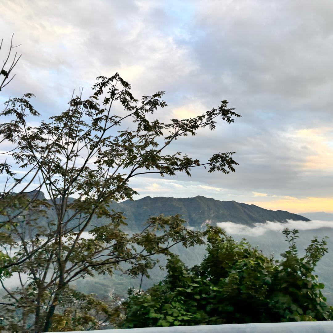 㝡乂❤️乄🌹夵