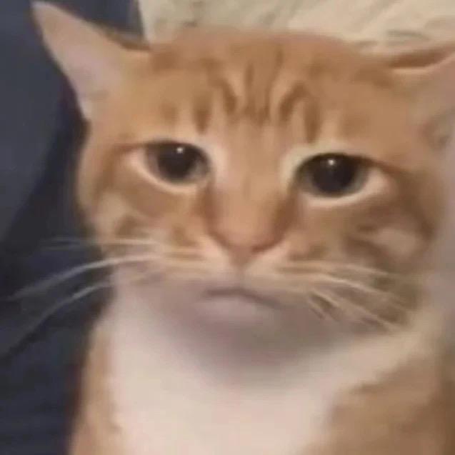 开胃萝卜（三角洲行动）