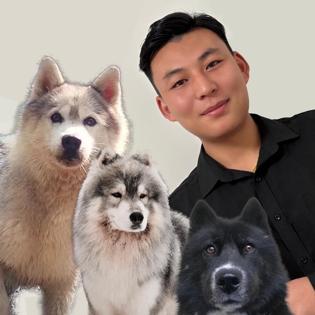 李招财