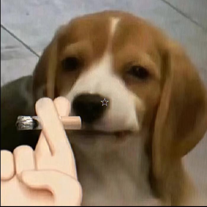 轶🍟