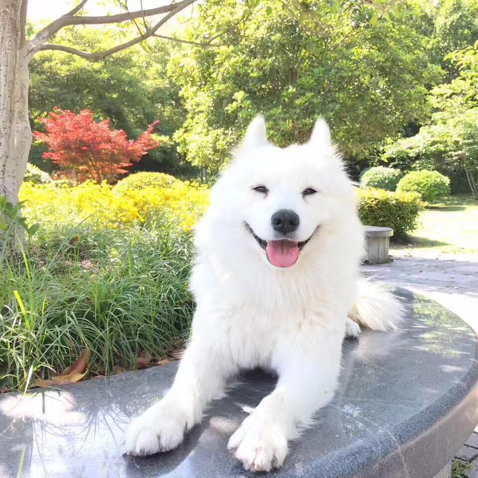 寒睿