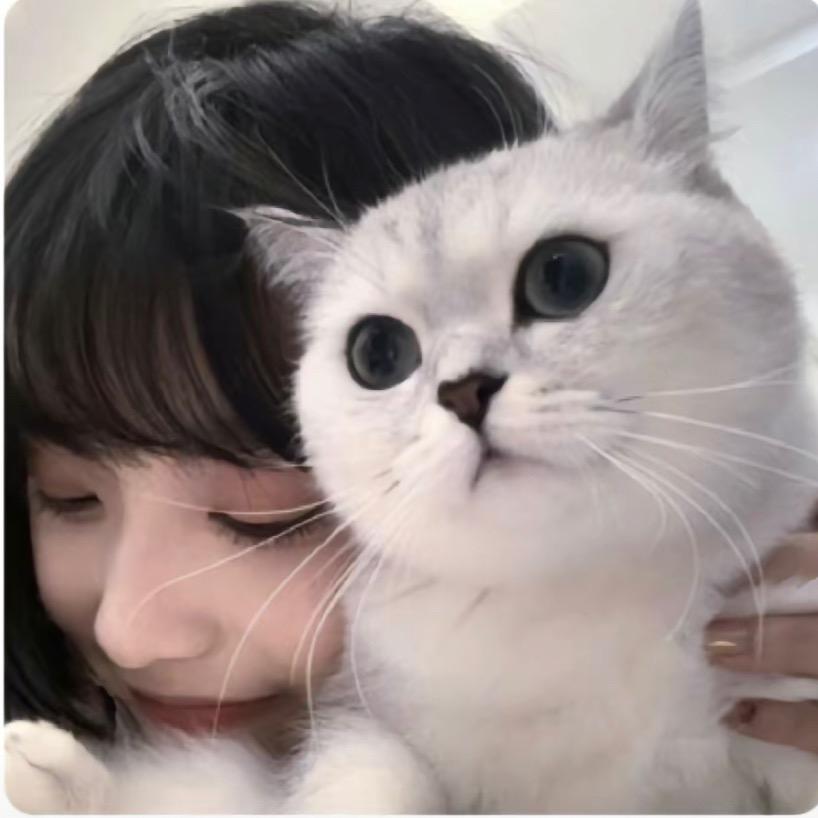 🍒。