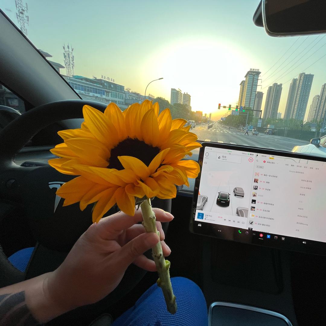 你的体育老师c