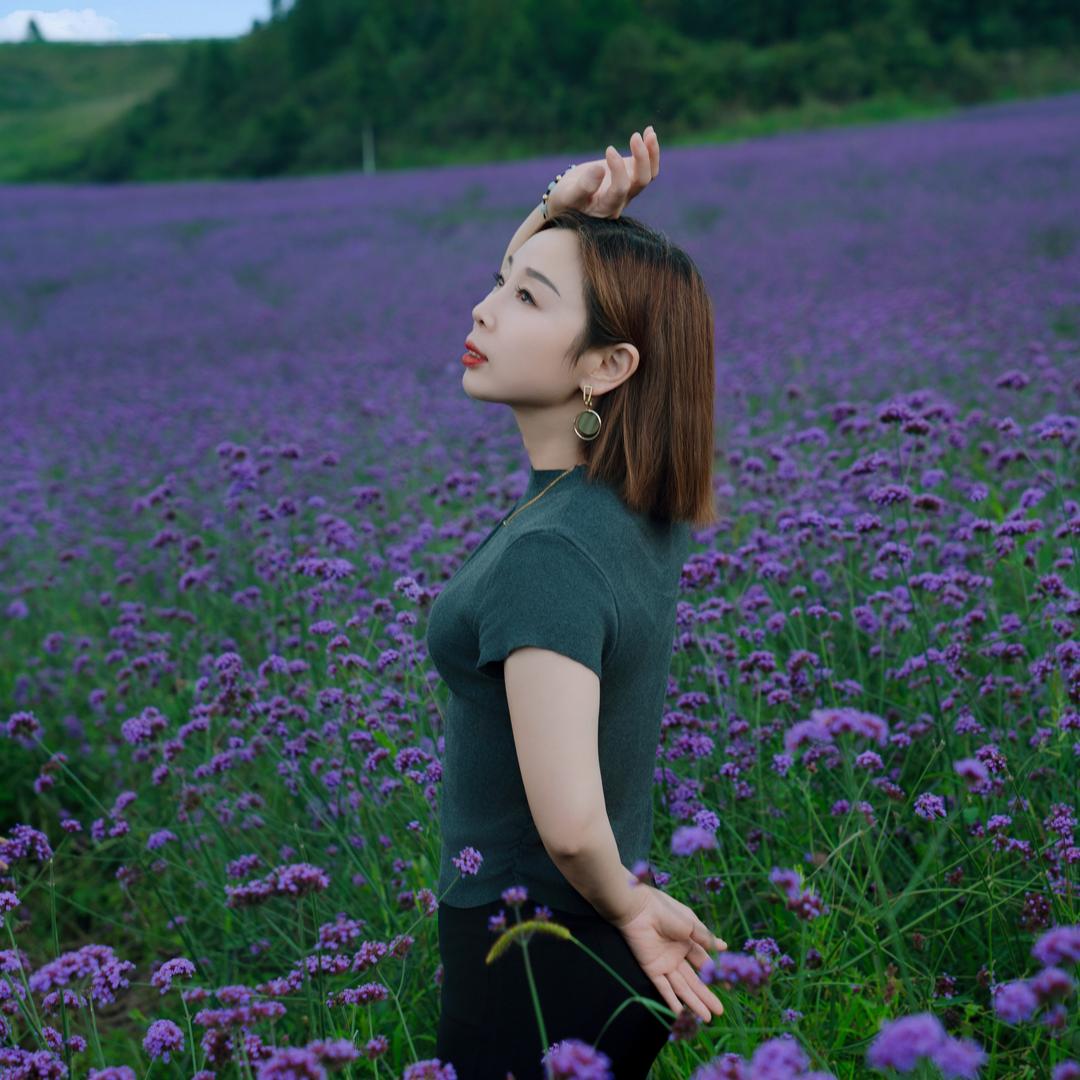 华华宝藏屋
