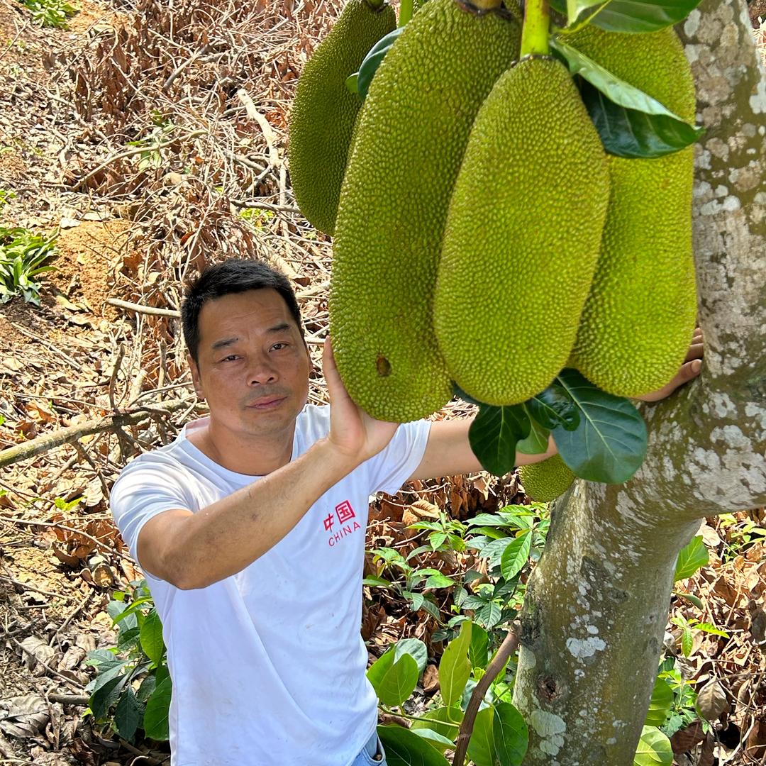 庆植坊企业店