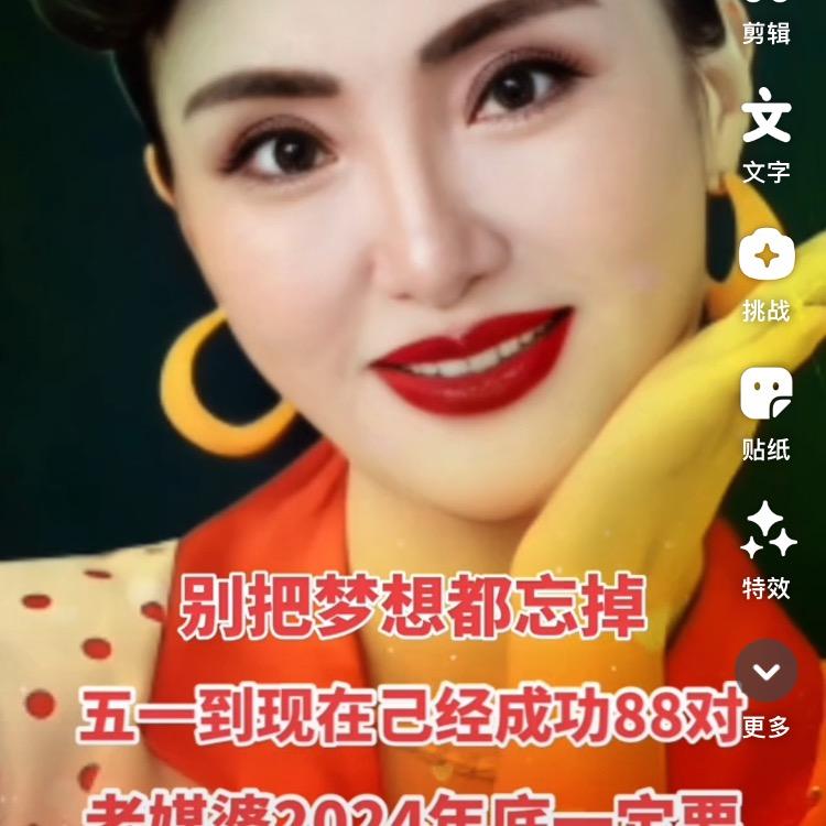 女神老媒婆