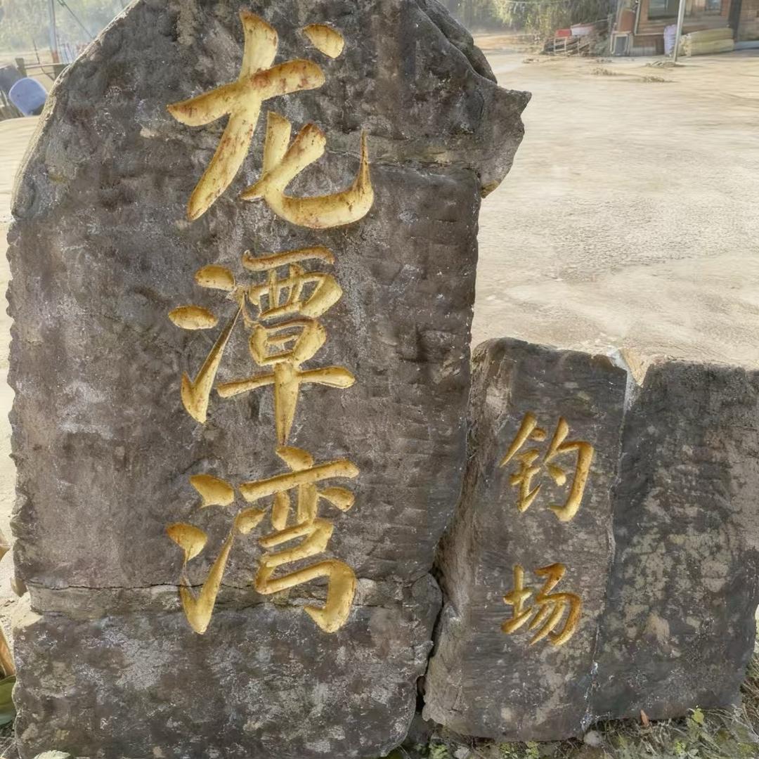 龙潭湾钓场（鲤鱼专场）