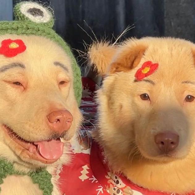 共勉
