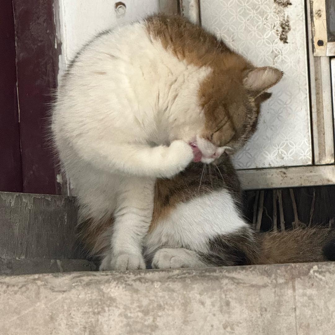 陶你欢喜✨