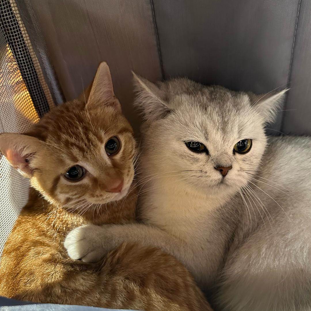 葡萄 ˗ˏˋ🍇ˎˊ˗