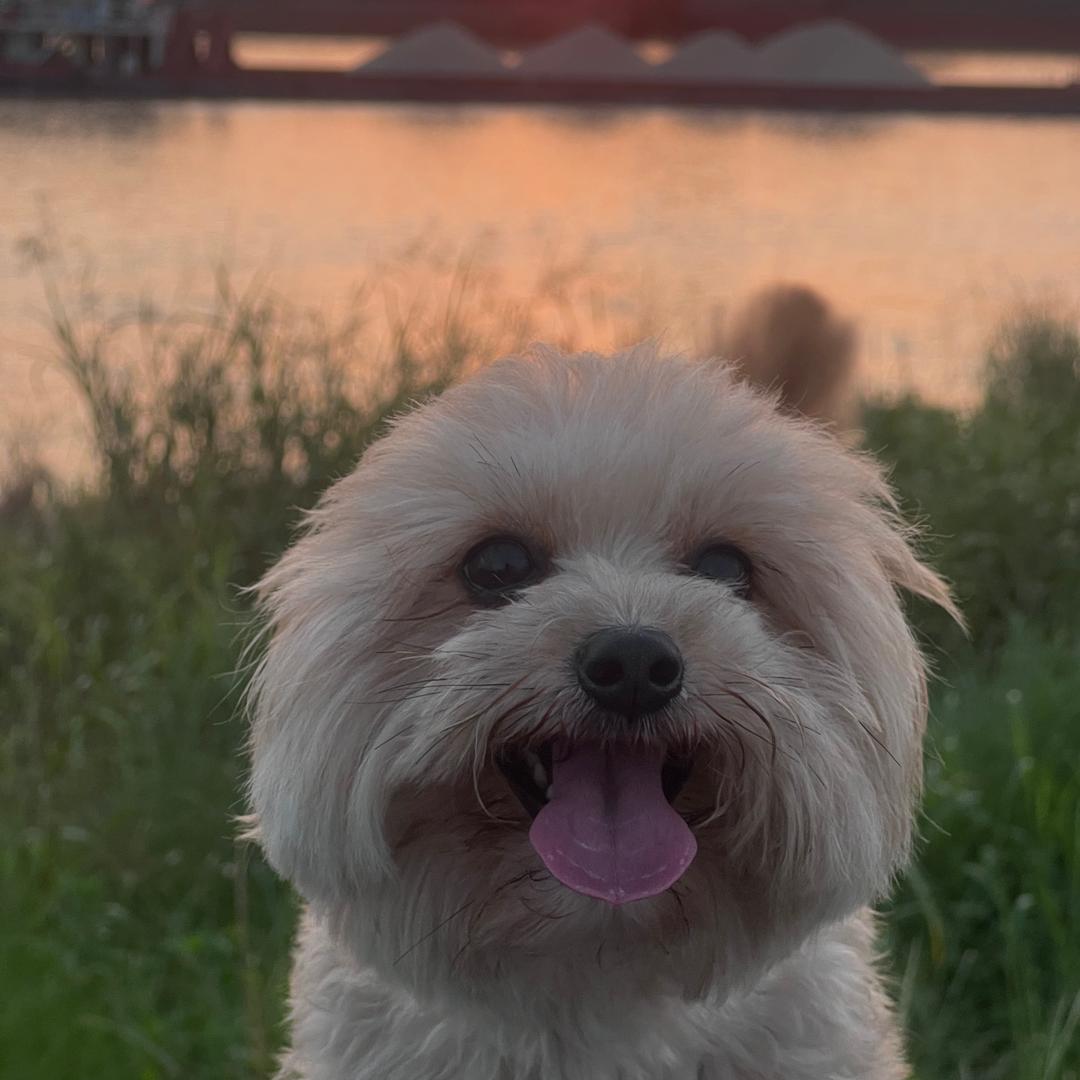 风雨过后就是彩虹