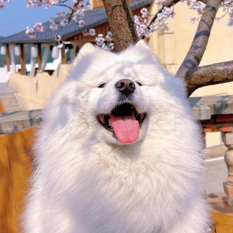 江湖.