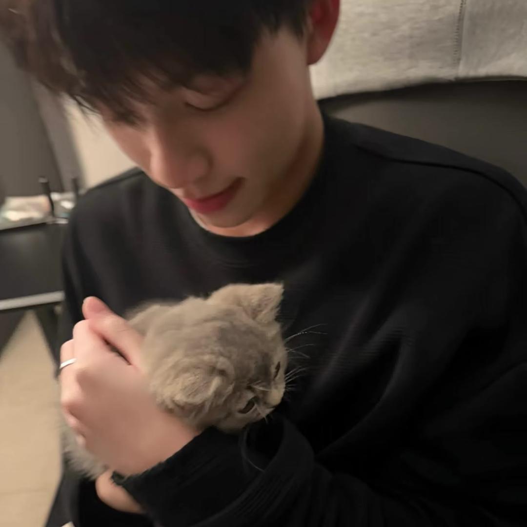 小猪