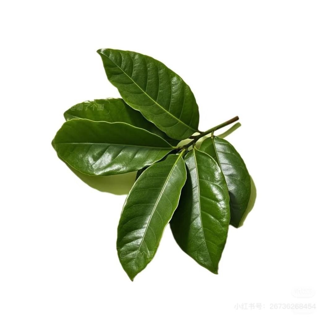 今天不想动