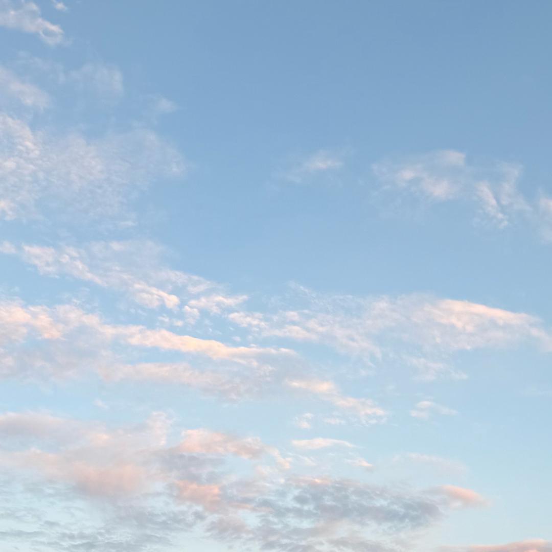 惠惠