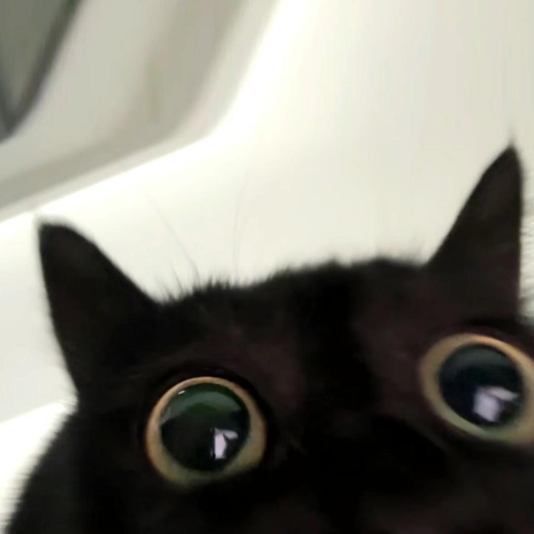恋金