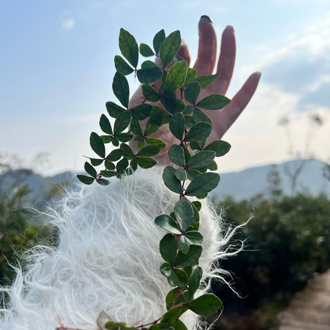 潘潘