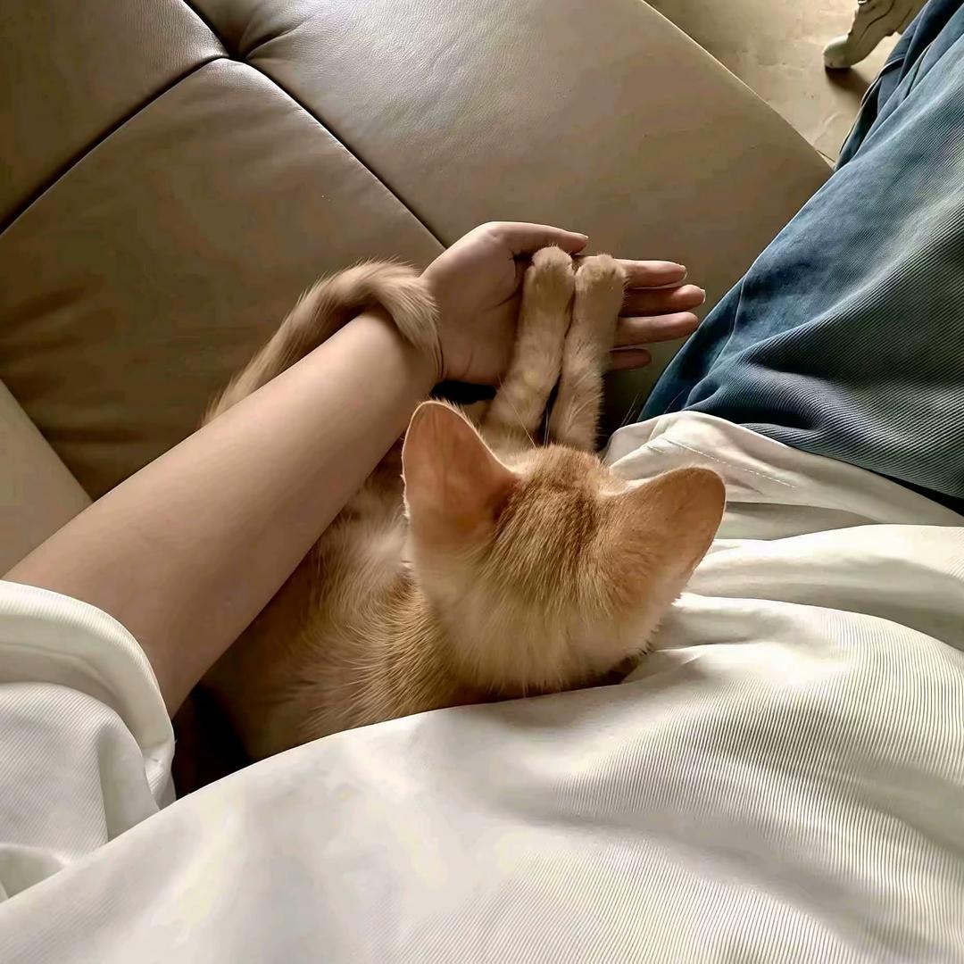 我妈不让我和透的赖的玩