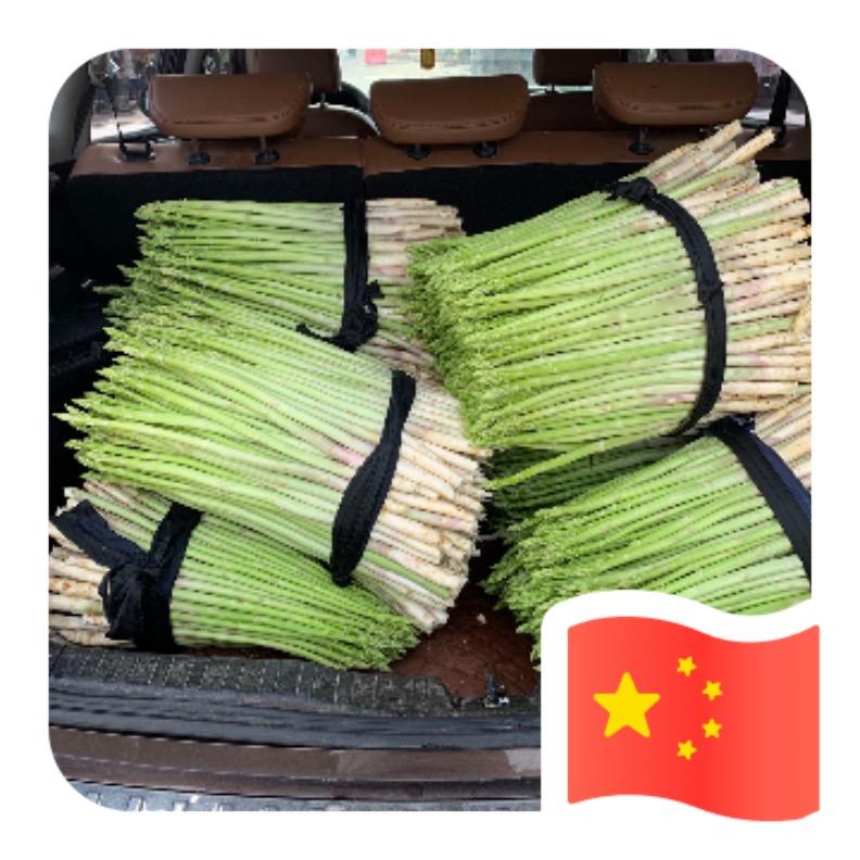 福建精品芦笋（小旭）