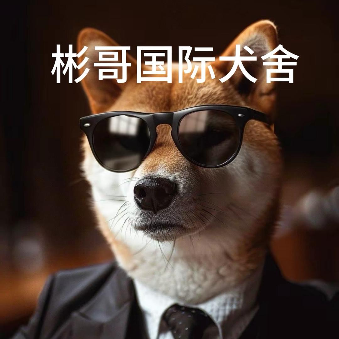 洛阳宠物店彬哥（一手全国）