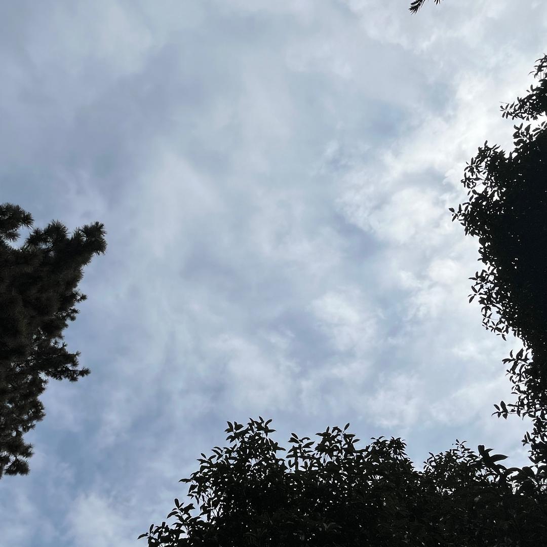 睡醒了我继续睡