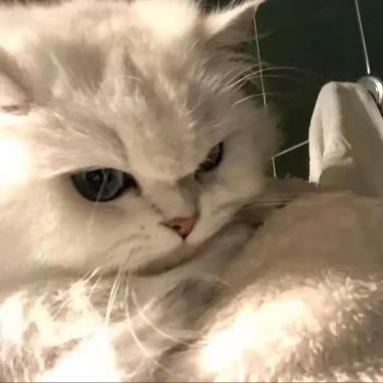 辞.