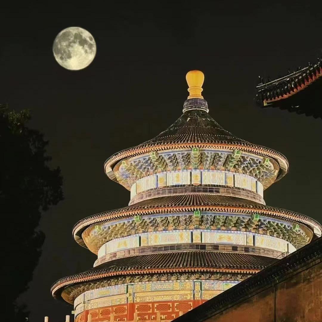 山茶花读不懂白玫瑰-