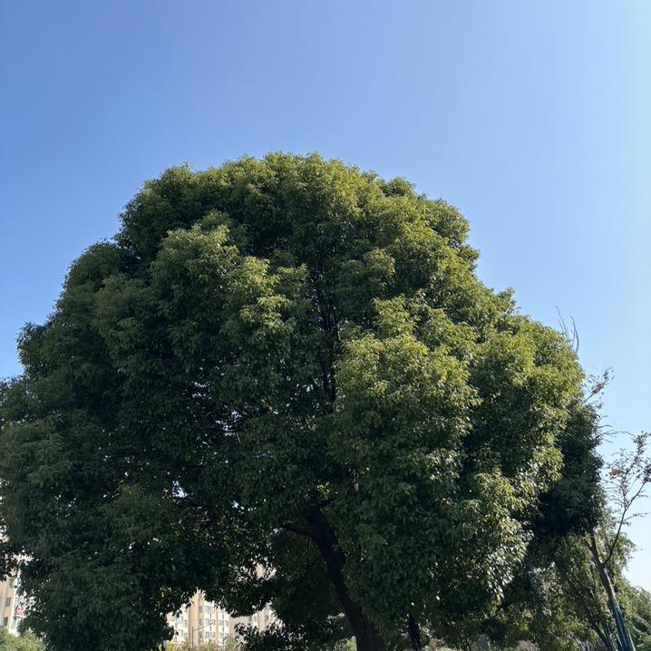 ☀️