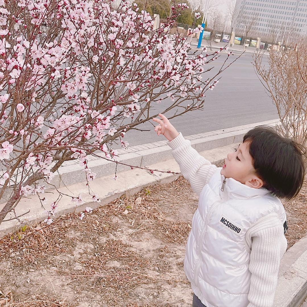 🌈繁花似锦觅安宁