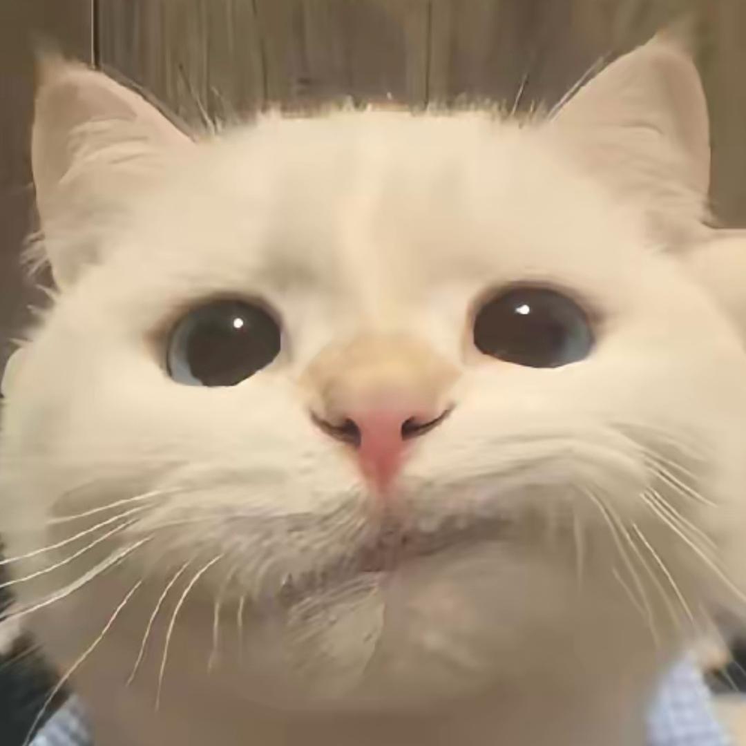 上上签