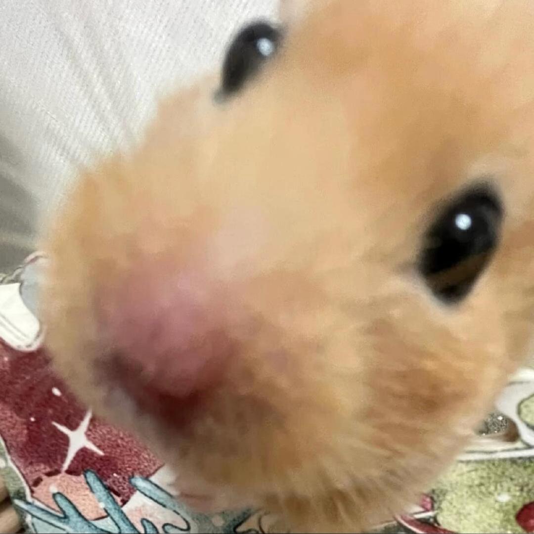 腹肌没八块