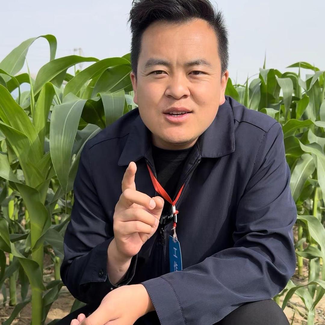 植保武老师（商品在橱窗）