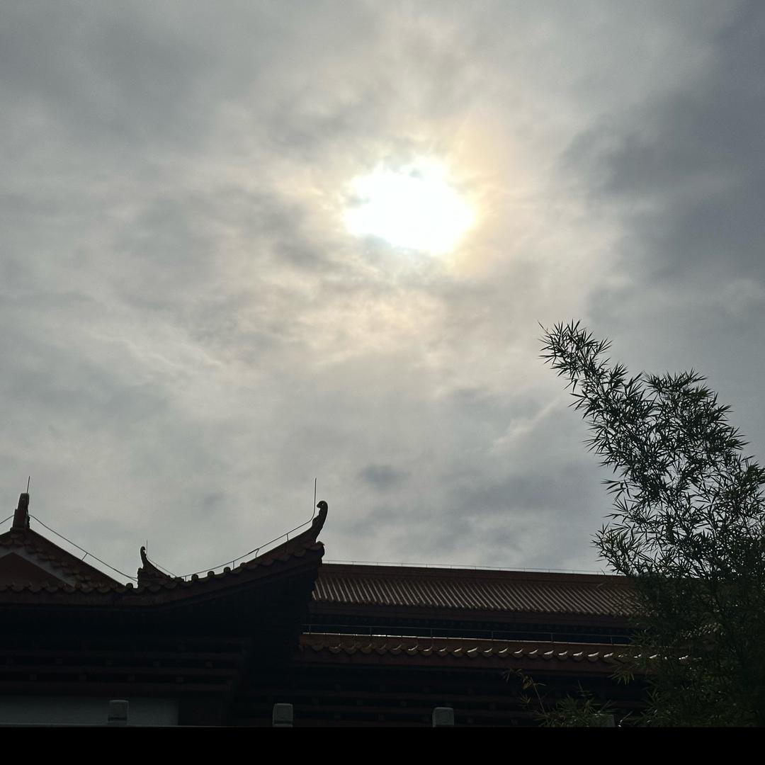 我是咕咚呀