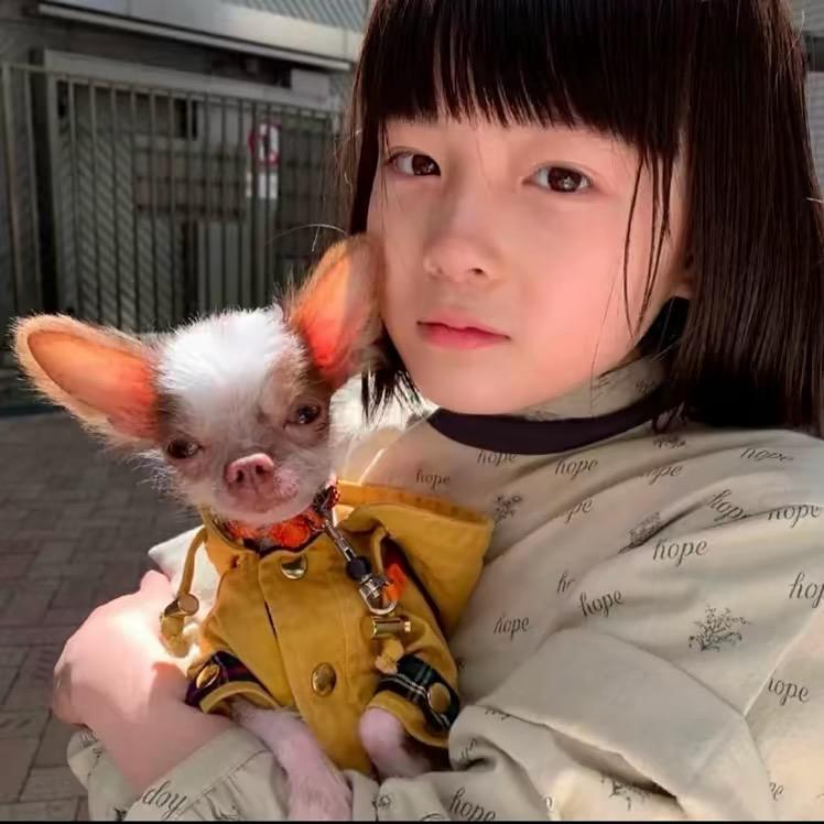 大头🧊