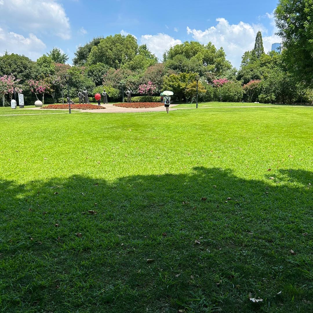 小花花老师的头像