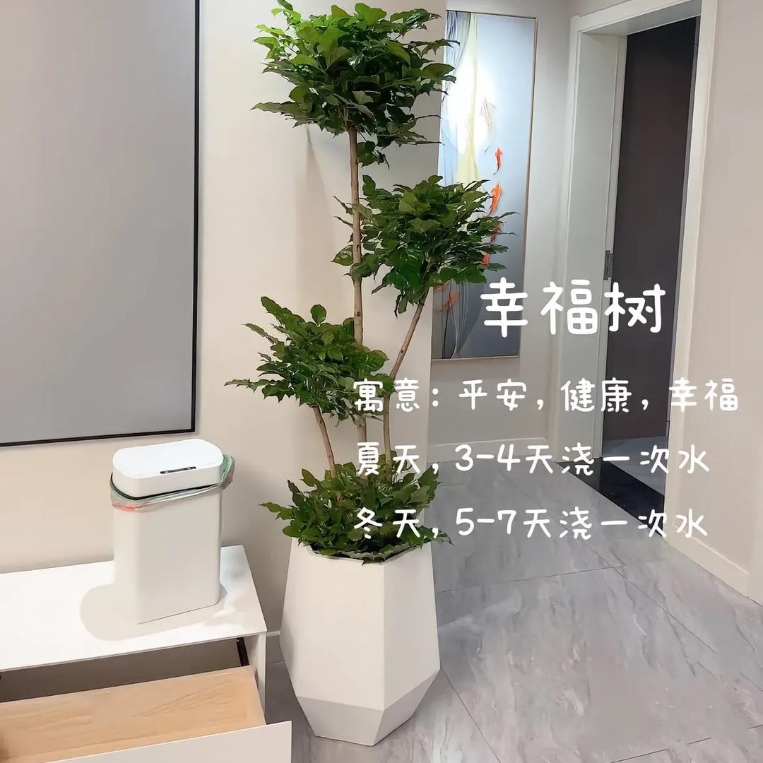 醇悠悠园艺
