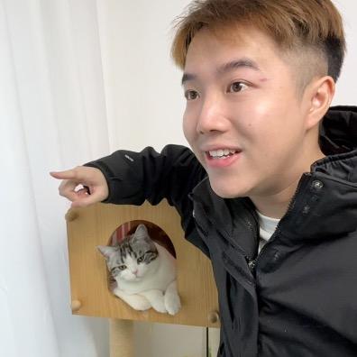 小树超疼猫