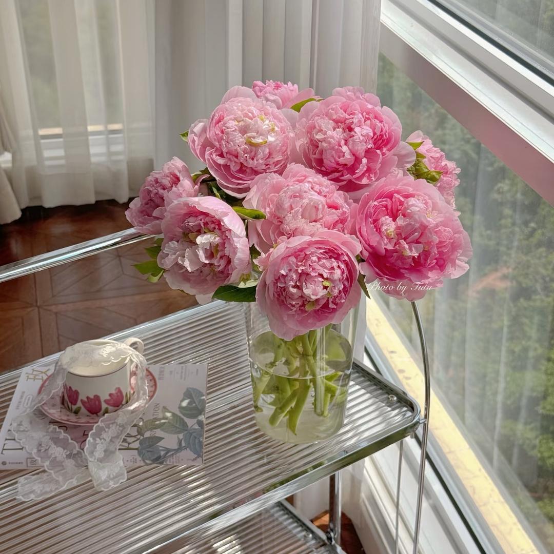 栀子花开
