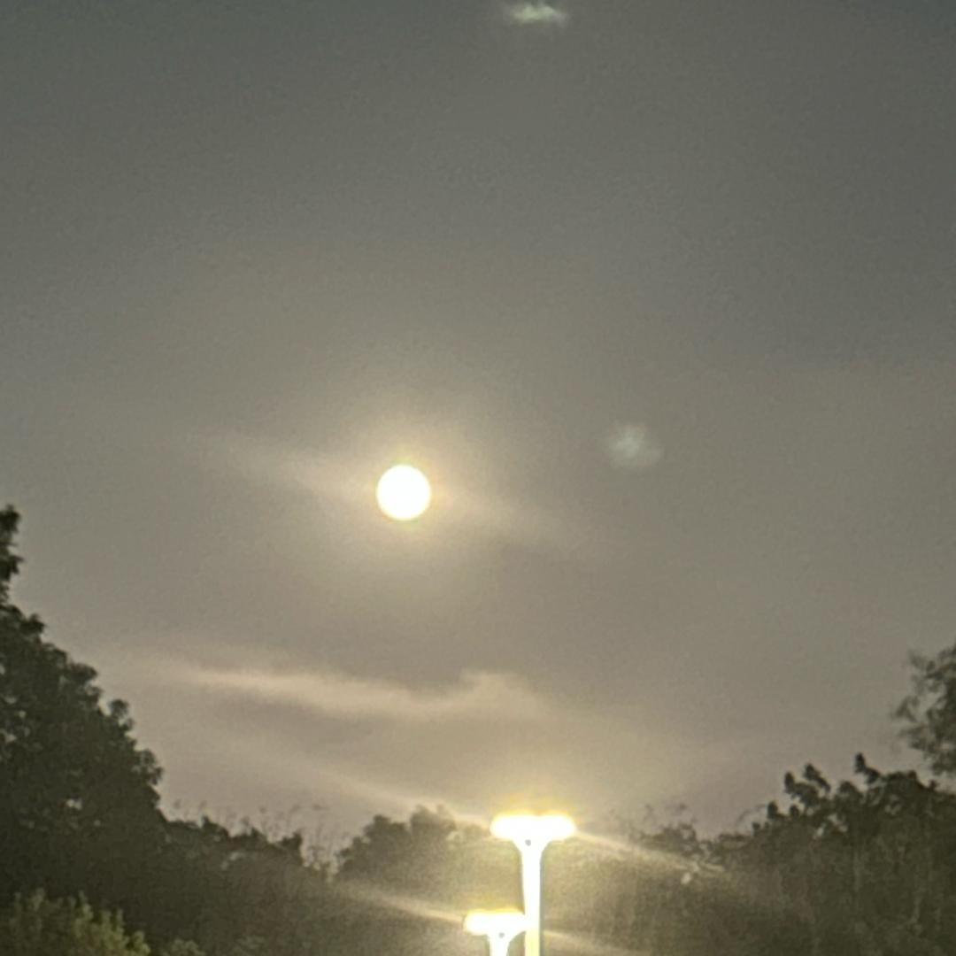 @优雅