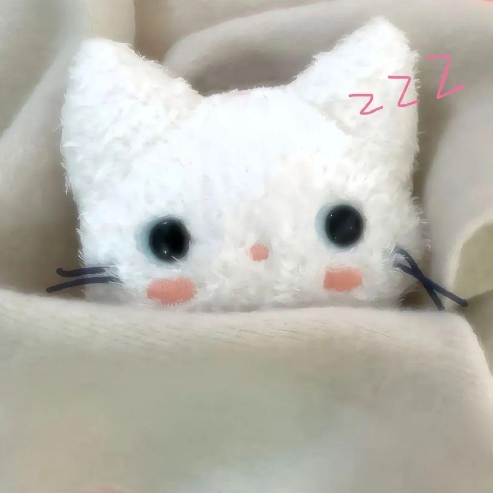 迪迪薇