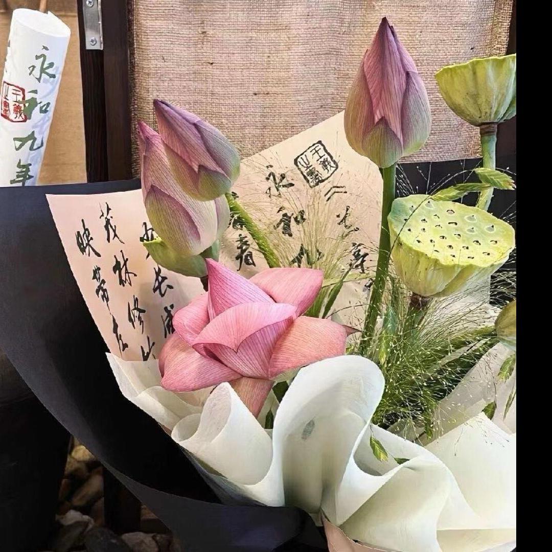 阳和启蛰🪷📿