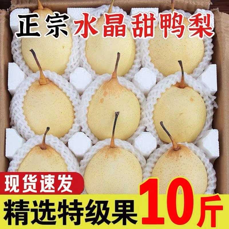 吃的好生鲜食品店零售店