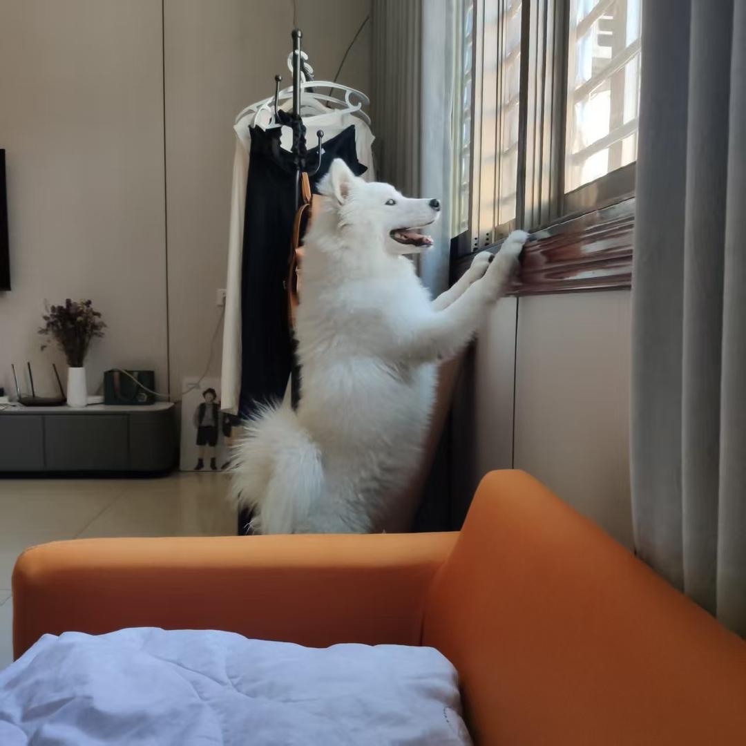 童话