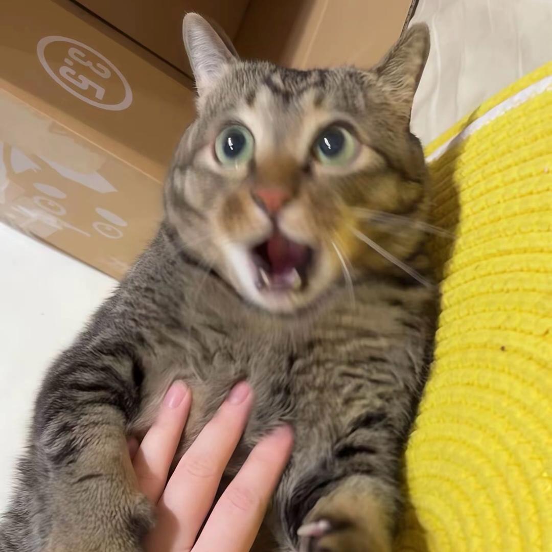 热叔