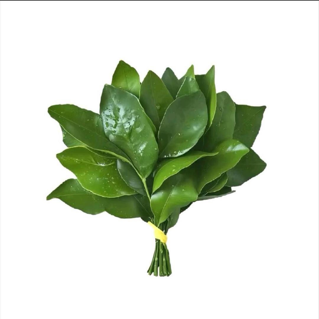 爱吃火锅的英雄