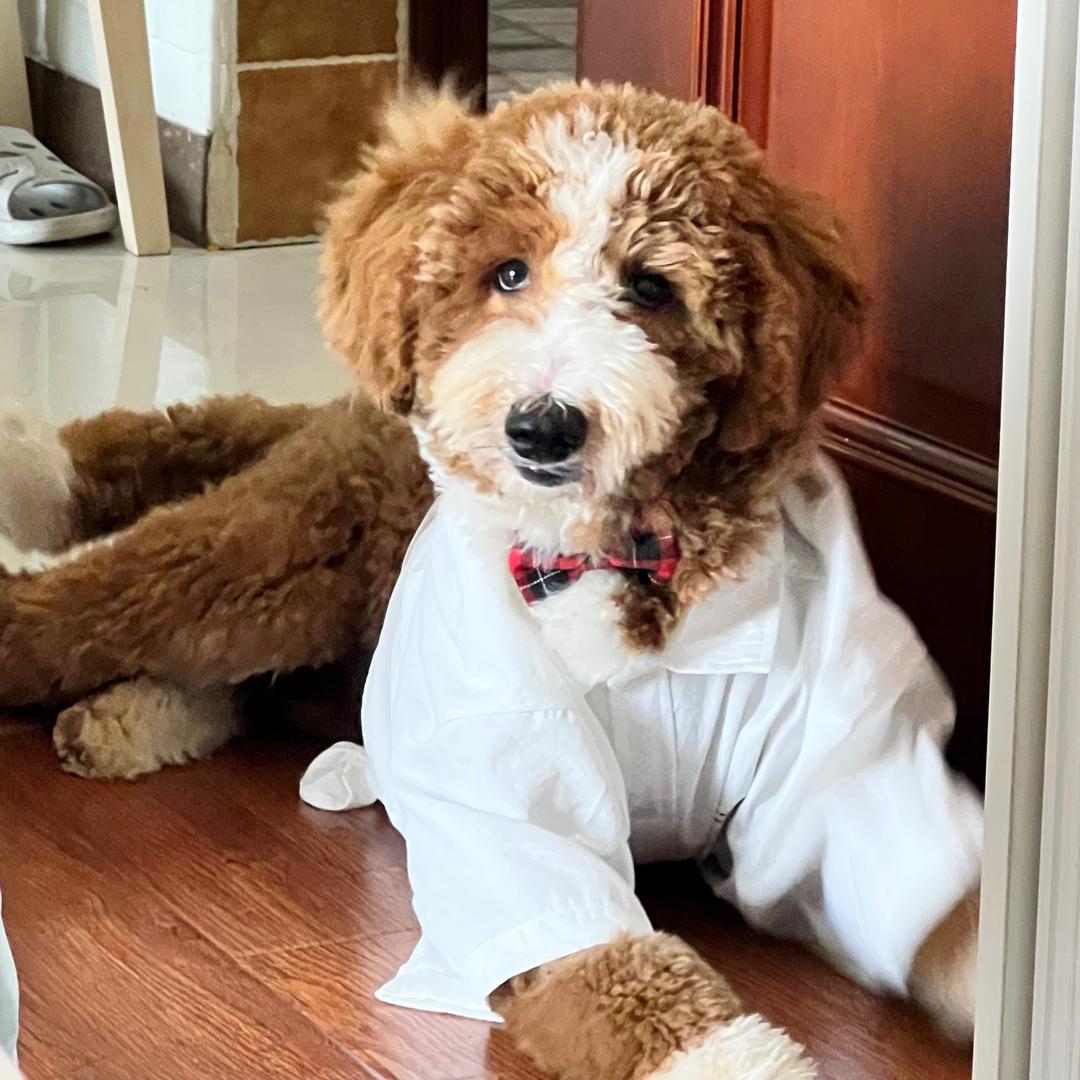 王点点🐩