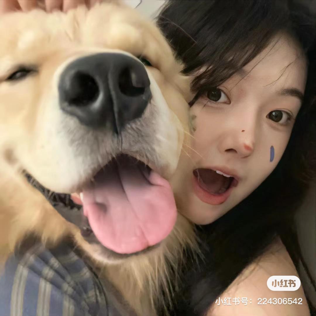 是胖胖哎