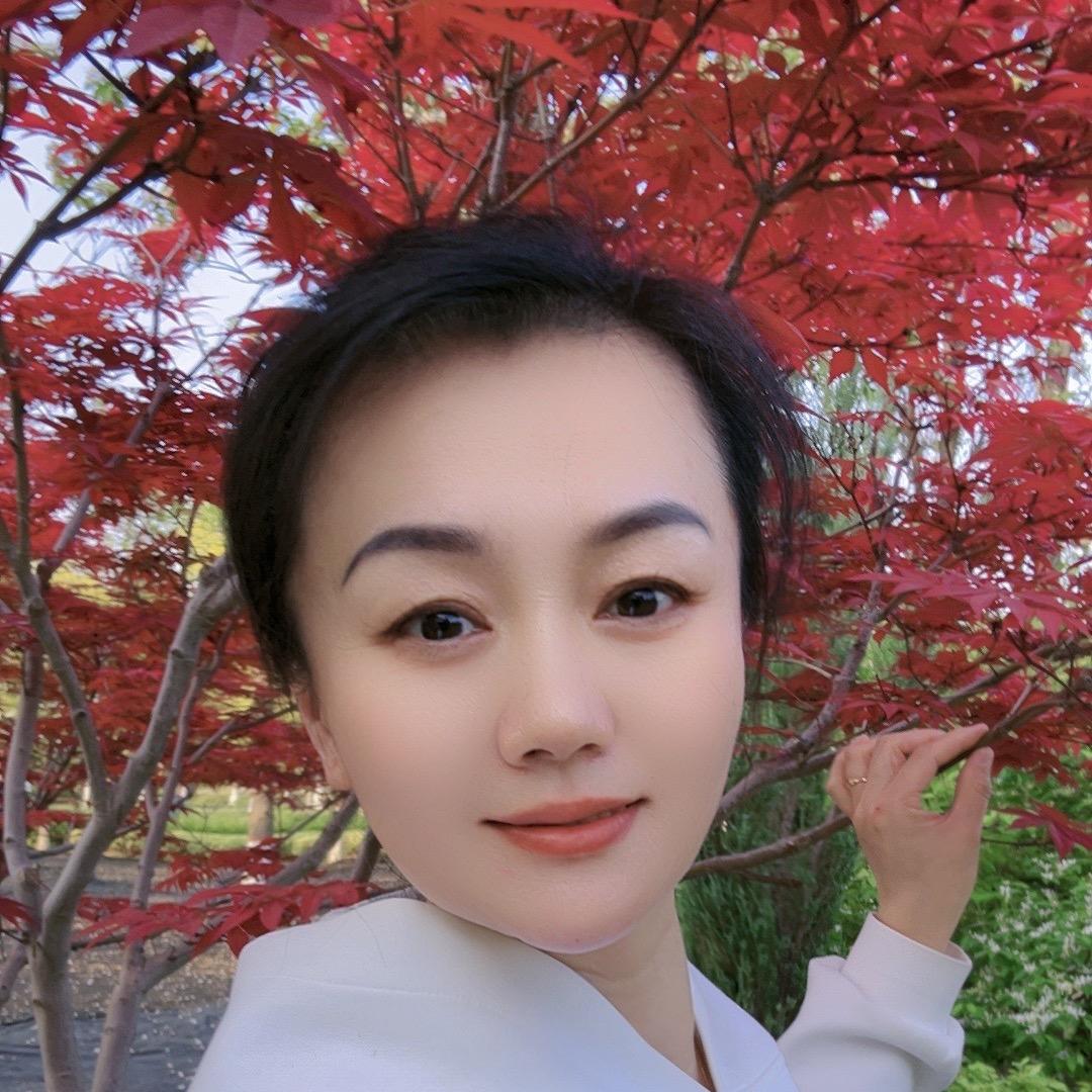 山东鸿雁